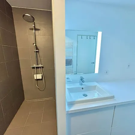Lejlighed 2 Chambres, Balcon, Acces Plage, Piscine, Parking, Animaux Admis - - Fr-1-194-232
