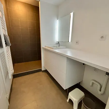 Lejlighed 2 Chambres, Balcon, Acces Plage, Piscine, Parking, Animaux Admis - - Fr-1-194-232 *