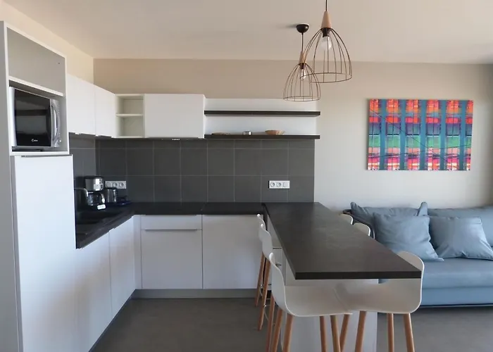 2 Chambres, Balcon, Acces Plage, Piscine, Parking, Animaux Admis - - Fr-1-194-232 Apartamento