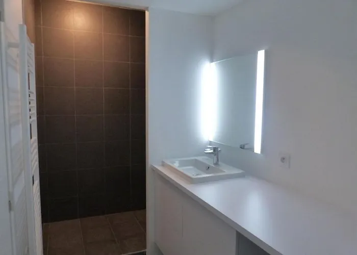 2 Chambres, Balcon, Acces Plage, Piscine, Parking, Animaux Admis - - Fr-1-194-232